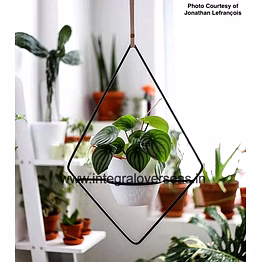generic metal hanging planter
