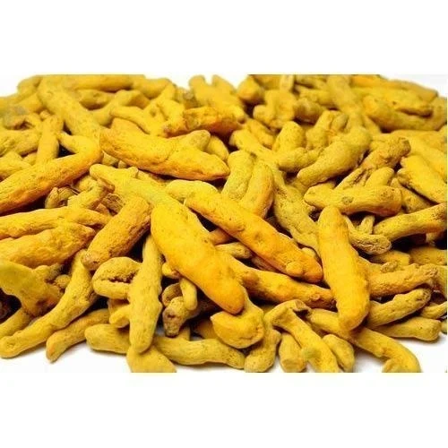 Turmeric Powder and  turmeric finger-1