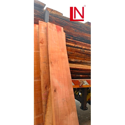 Steam Beech Wood-4