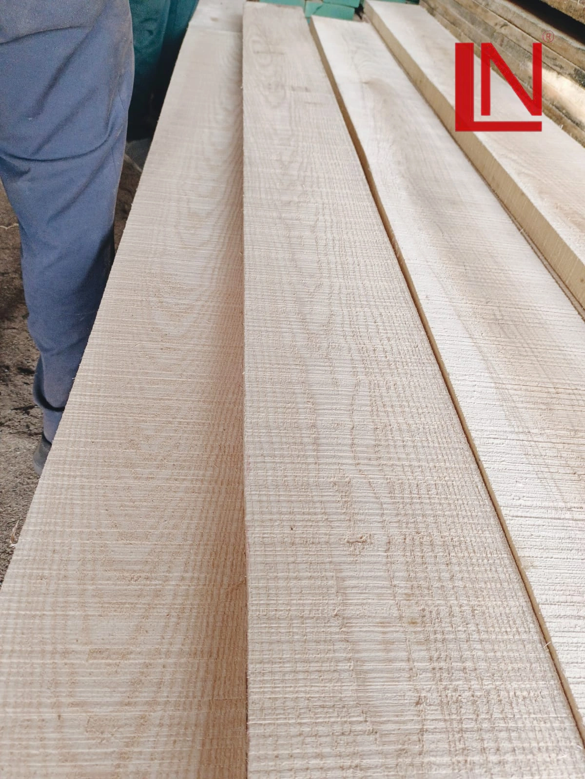 White Ash Wood-12518846