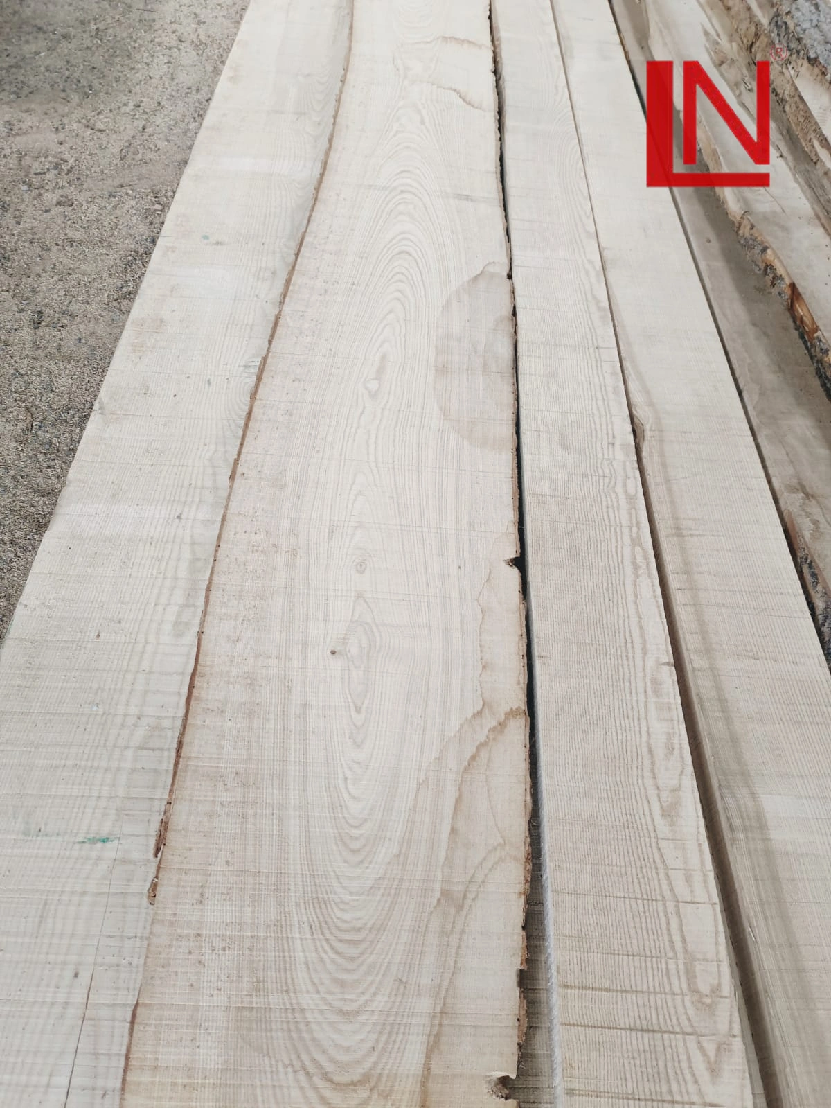 White Ash Wood-1