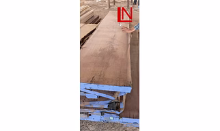 Walnut Wood