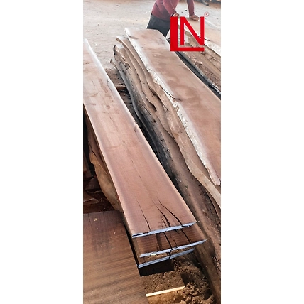 Walnut Wood-1
