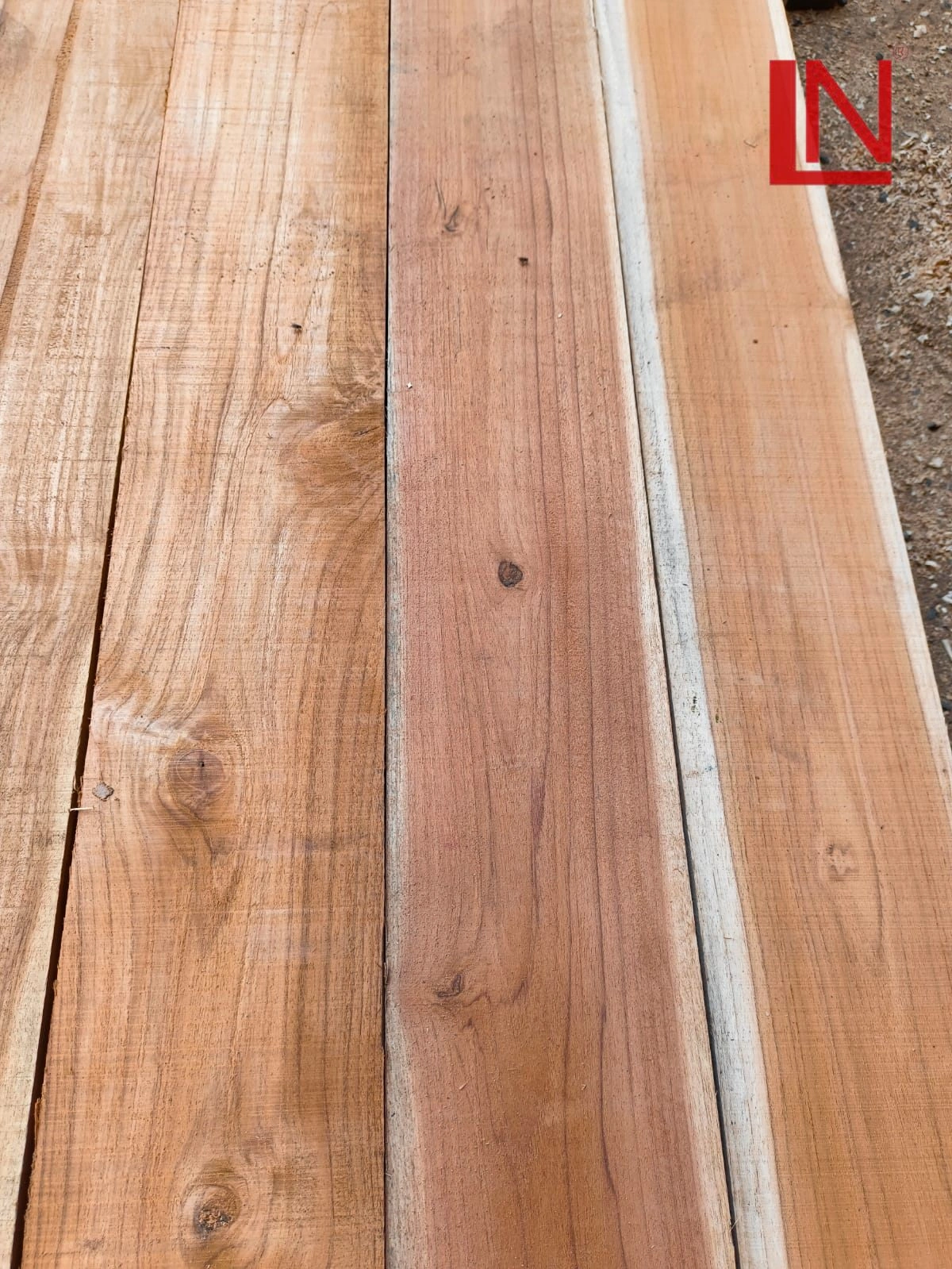 Teak Wood-12518840