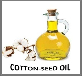 ORGANIC COTTON SEED OIL-2