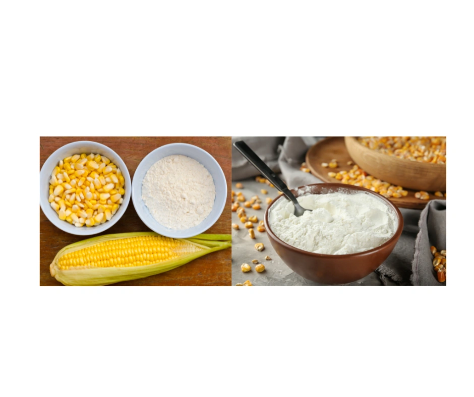 ORGANIC CORN STARCH-1