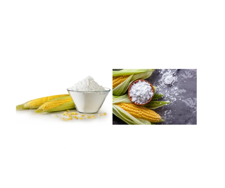 ORGANIC CORN STARCH-3