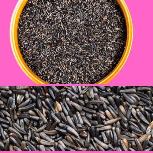 ORGANIC NIGER OIL SEED-2