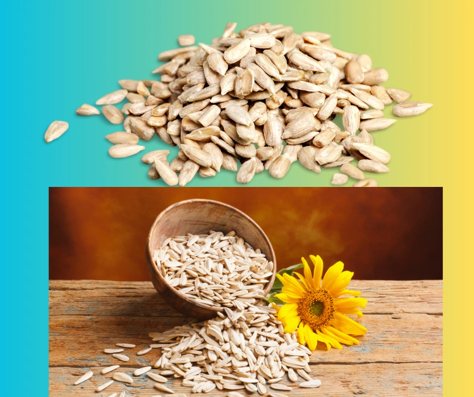 ORGANIC SUNFLOWER OIL SEED-1