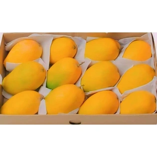 Alphanso mango (Hapus Mango)