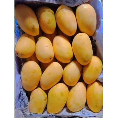 Badami mango