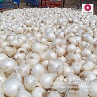 Fresh White Onion