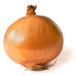 Fresh Yellow Onion