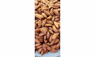 Mamra Almond kernels