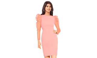 Atachi Women Bodycon Maroon Dress