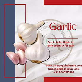 GARLIC