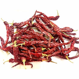 byadgi chilli 2043 syngenta