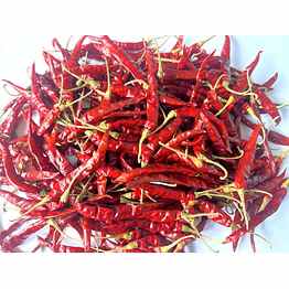 guntur chilli teja s-17