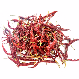 byadgi 5531- dry red chilli