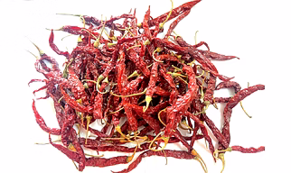 5531- Dry Red Chilli