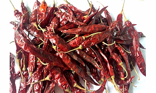 341- Dry Red Chilli