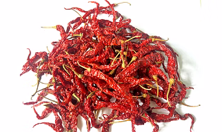 Byadgi-355