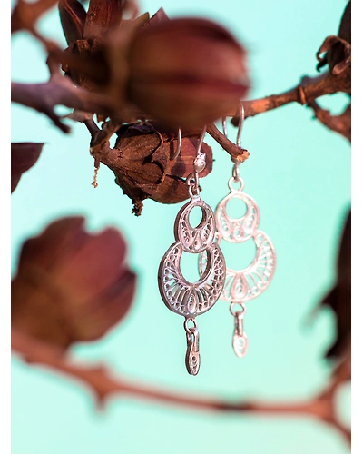 Elegant danglers-2