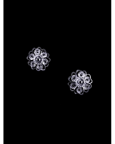 Odishas Moonlight-12667609