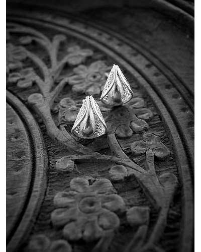 Pankhuri Studs-1