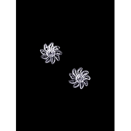 Gonasika Chakri Studs