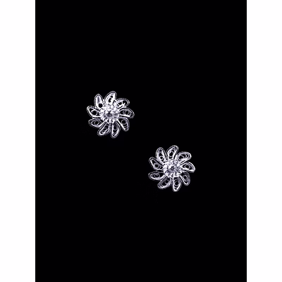 gonasika chakri studs
