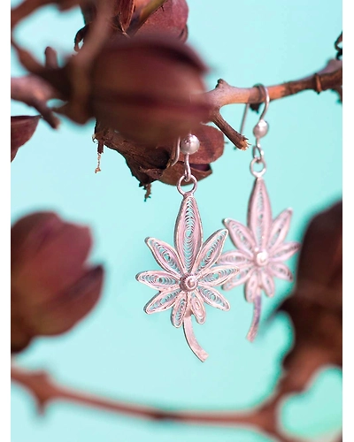 Sterling Sprout-1