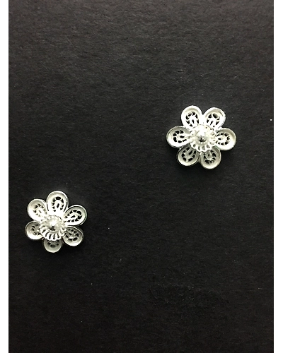 Odishas Jasmine Bloom-2