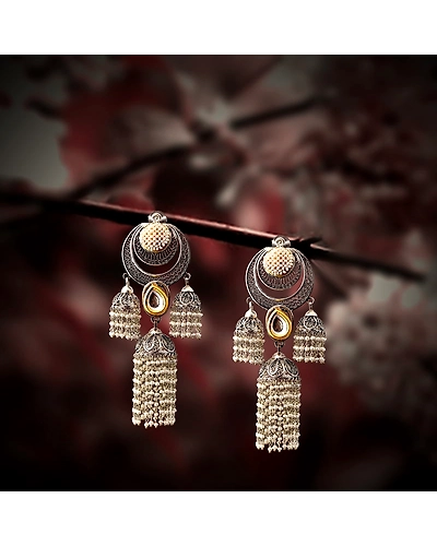 Ramanee Silver Earrings-2