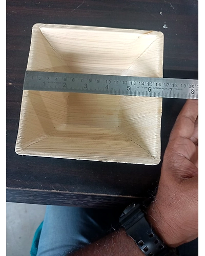 Areca leaf plates-16-1