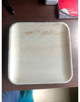 Areca leaf plates-10