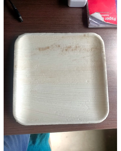 Areca leaf plates-10-12676247