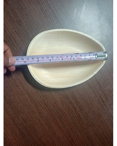 Areca leaf plates-22-12676273