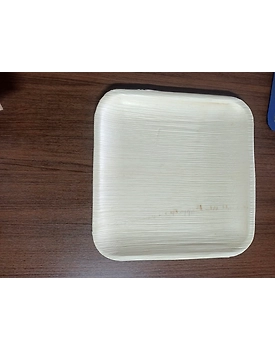 Areca leaf plates-5