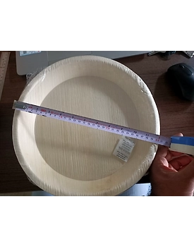 Areca leaf plates-6