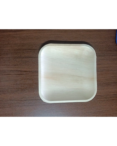 Areca leaf plates-7-1