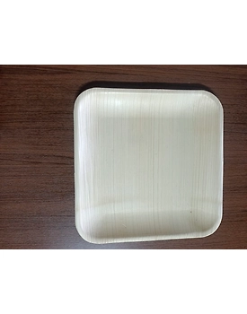 Areca leaf plates-8