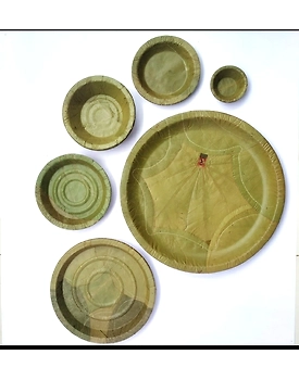 Siali leaf plates -1