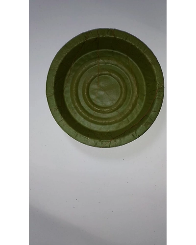 Siali leaf plates -12-12676305