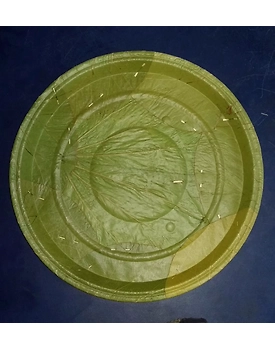 Siali leaf plates -6