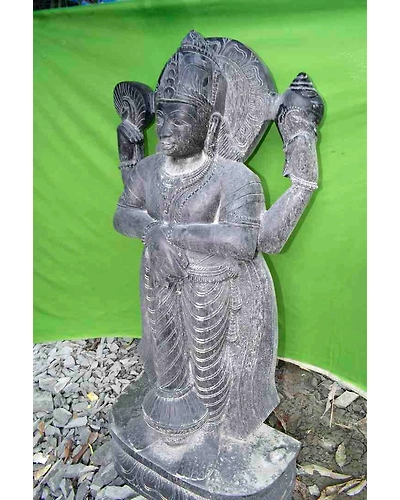 Narayan-1