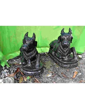 Nandi-Bull-in-sitting-position