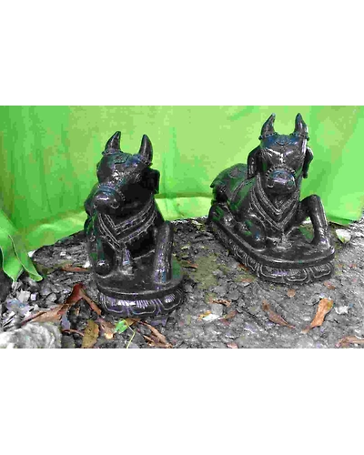 Nandi-Bull-in-sitting-position-12676441