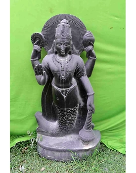 Matsya Avatar