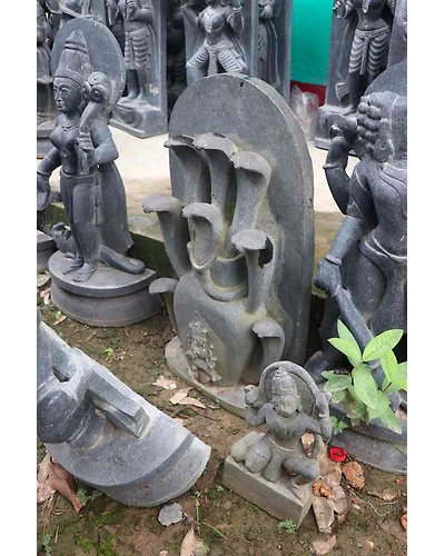 Maa Mansa-12676431